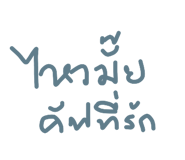 32384358
