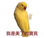 323847616