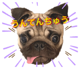 323854834