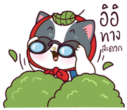 323882721