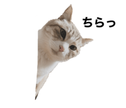 323905933