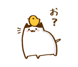 3239651