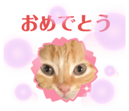 323969001