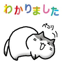324009306