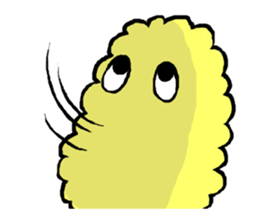 324032