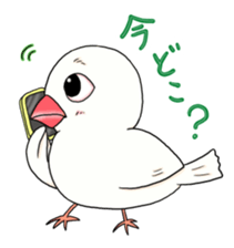 3240428