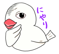 3240433