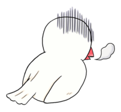 3240444