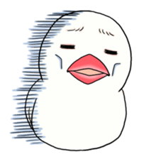 3240452