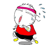 324065429
