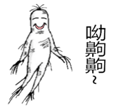 324065452