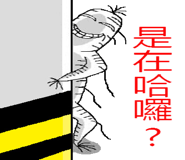 324065456