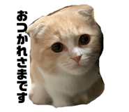 324087865