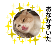 324087876