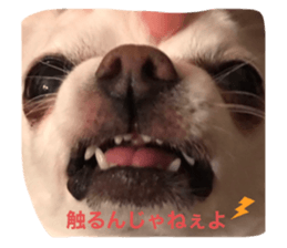 324095166