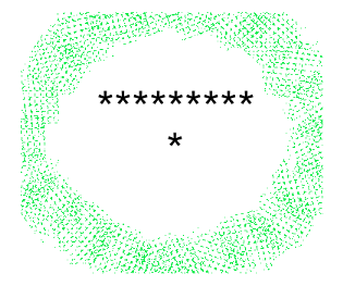 324163811