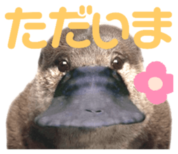 324176267