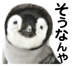 324176269