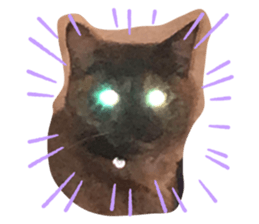 324182063