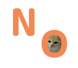 324194657