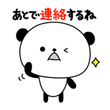 3242184