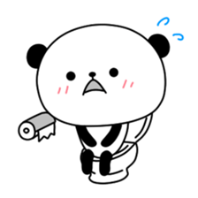 3242204