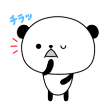 3242213