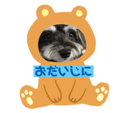324260187