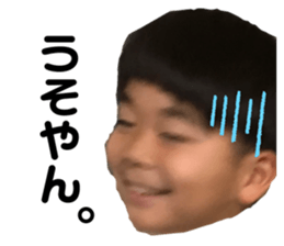 324275010