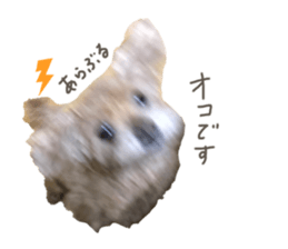 324278985