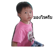 32431687