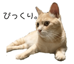 324323108
