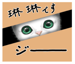 32436701