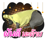 32437499