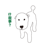 32437529