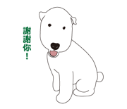 32437530