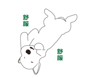 32437534