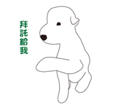 32437541