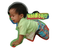 32437998