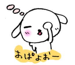 3243862