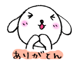 3243888