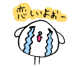 3243892