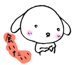 3243894