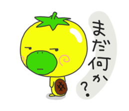 3244146