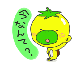 3244165