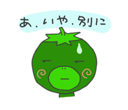 3244166