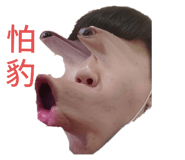 324444306