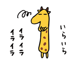 32449893