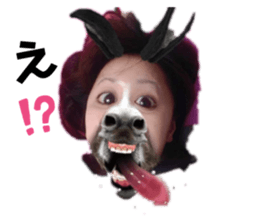324566489