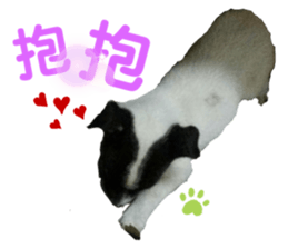 324685787